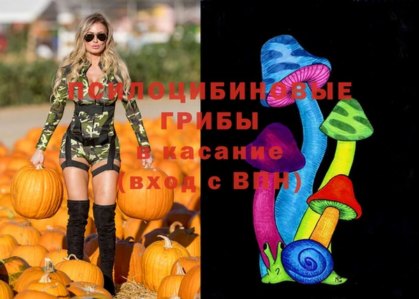 apvp Абаза