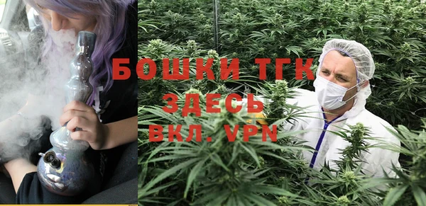 сатива Абдулино
