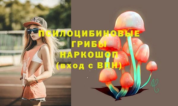 apvp Абаза